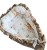 PhotoRoom-20220727_092941.jpg