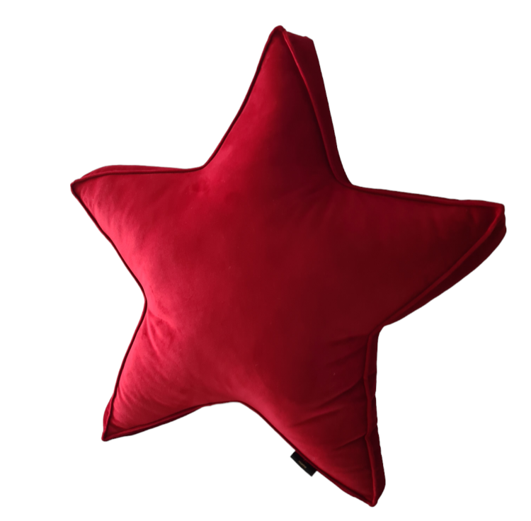 PhotoRoom-20240120_122536.png