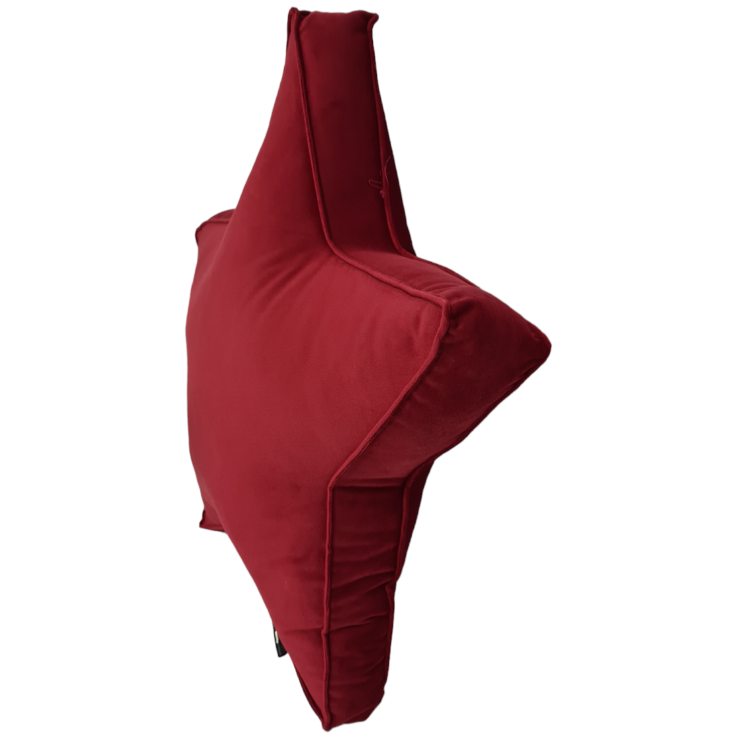 PhotoRoom-20240120_122418.png